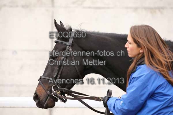 ET0Q0690 prot